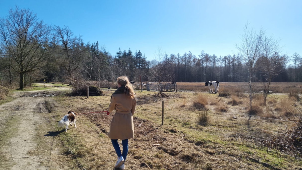 Pam, pet sitter in Groningen, photo 2