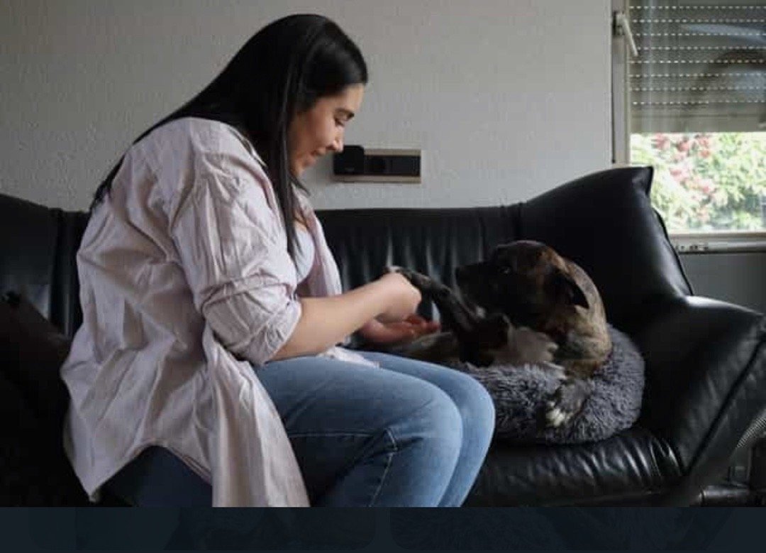 francisca, dierenoppas in Eindhoven, foto 4