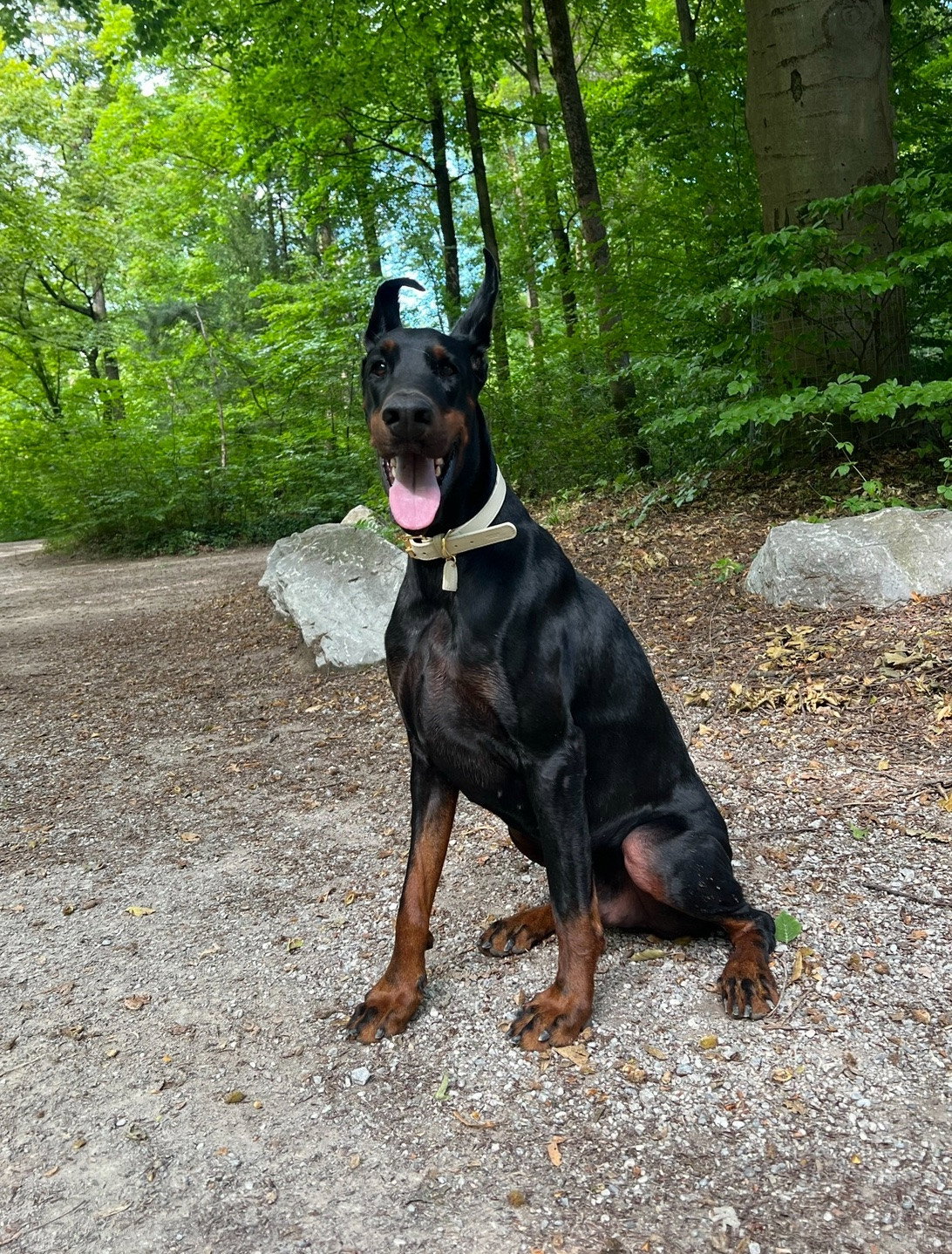 Sabrina, pet sitter in München, photo 2