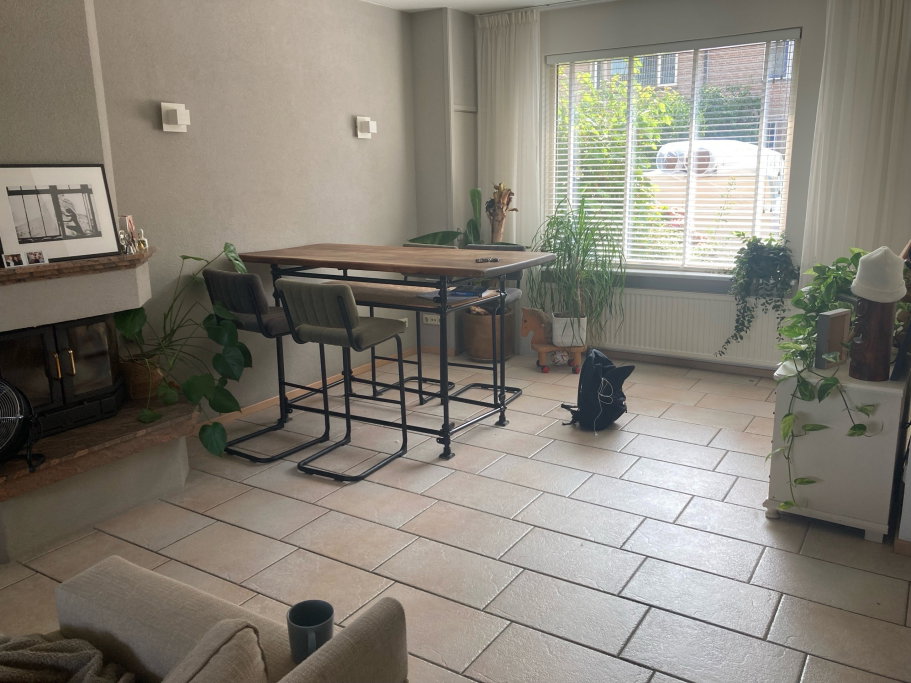 Jelle, pet sitter in Lisse, photo 1