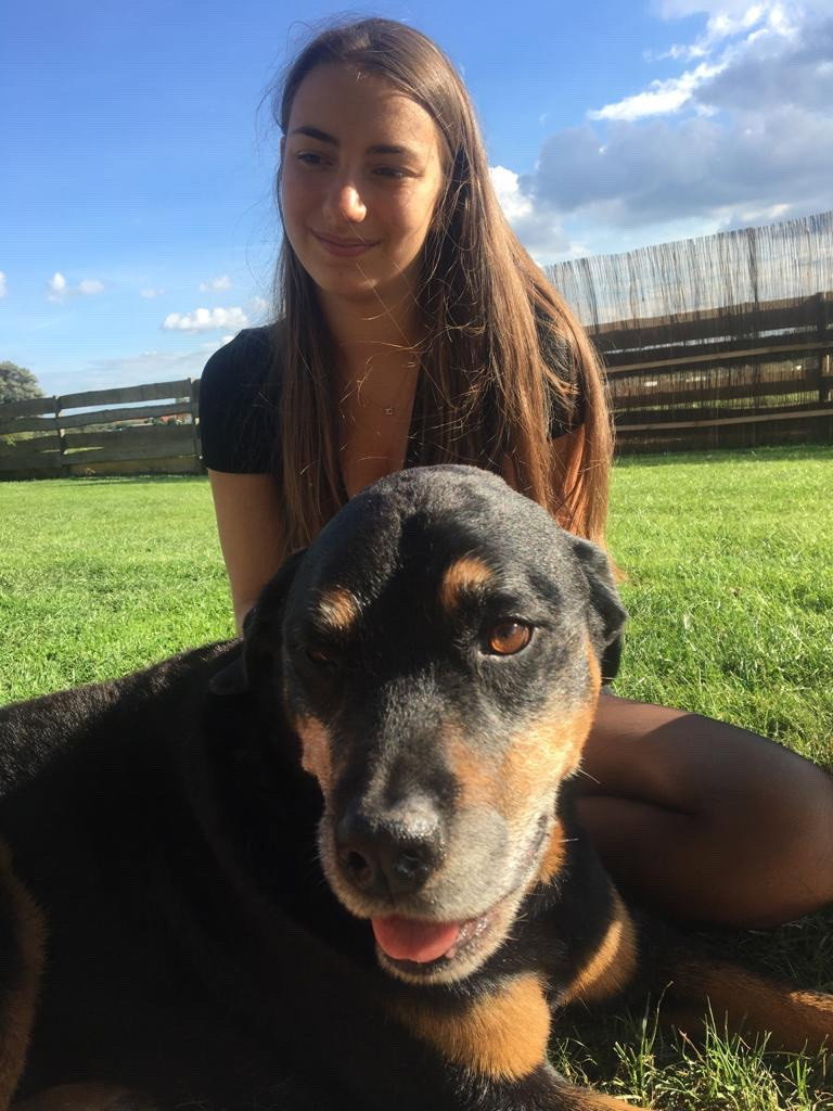 Amber-Nikki, pet sitter in Rijswijk, photo 3