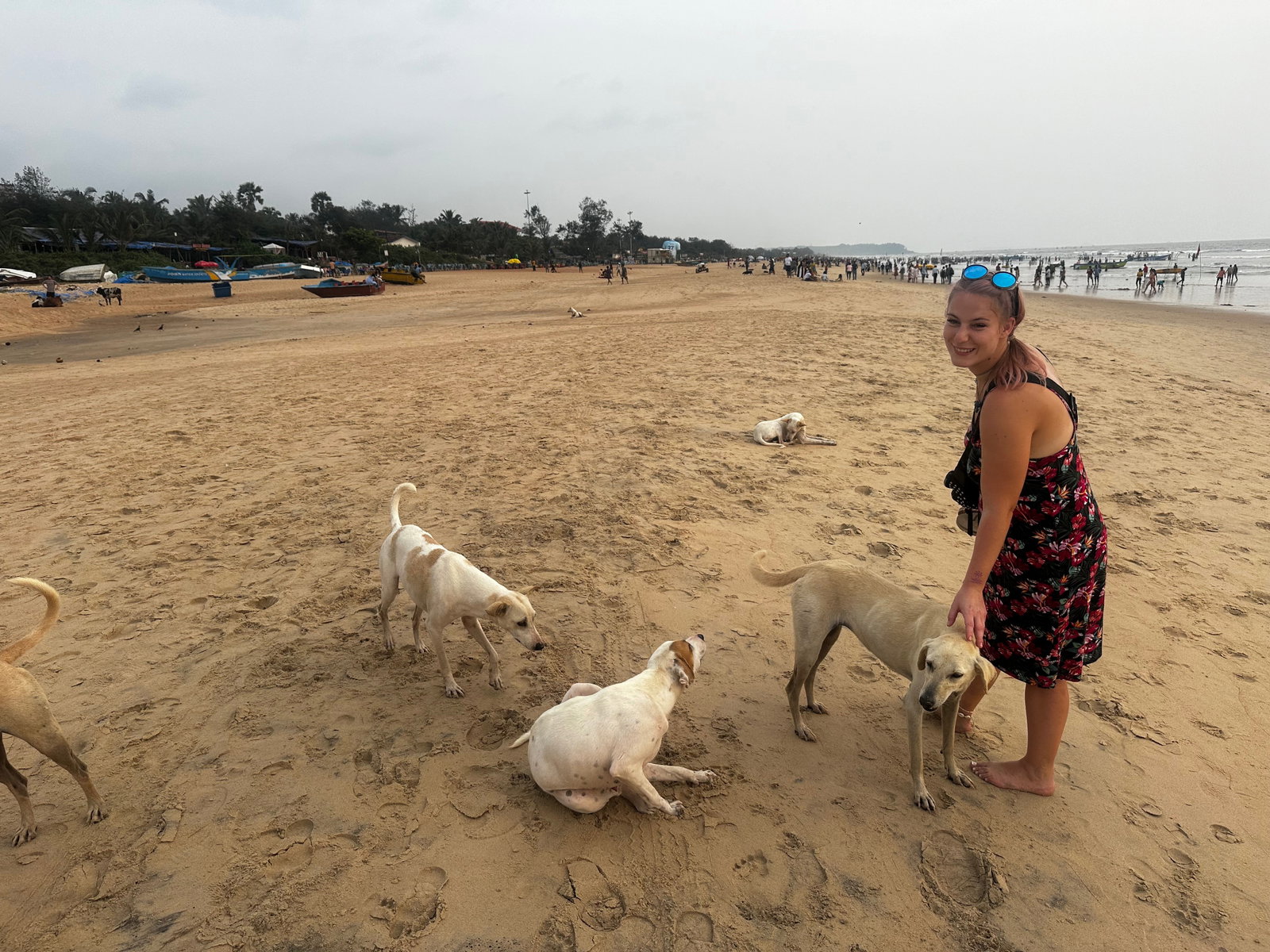 Dajana, pet sitter in Taufkirchen, photo 4