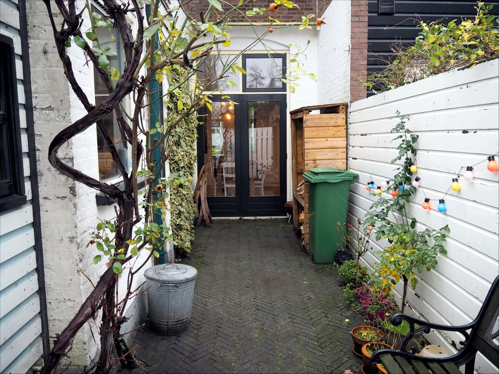 Karolina, pet sitter in Haarlem, photo 3
