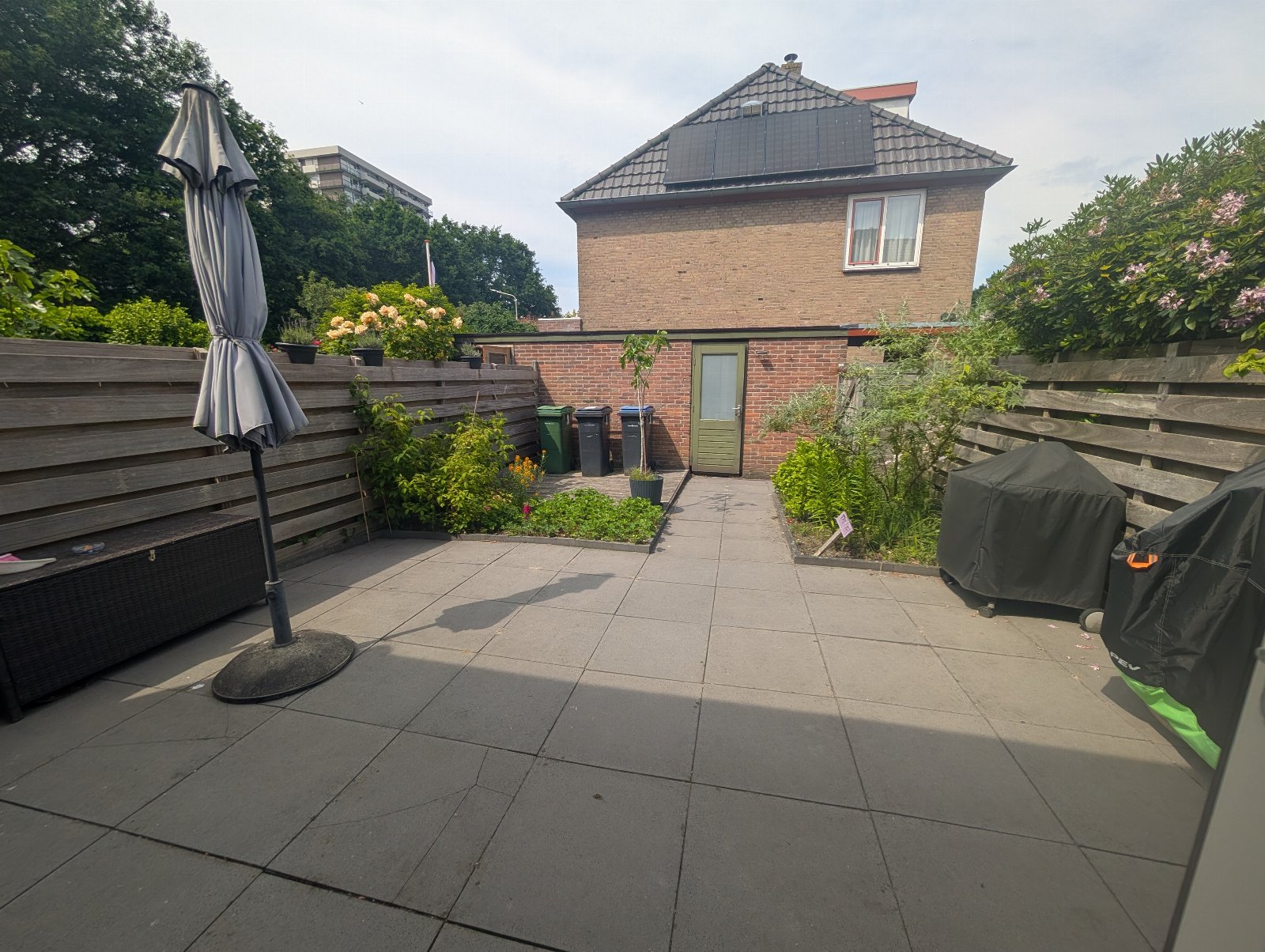 Eline, dierenoppas in Amstelveen, foto 3