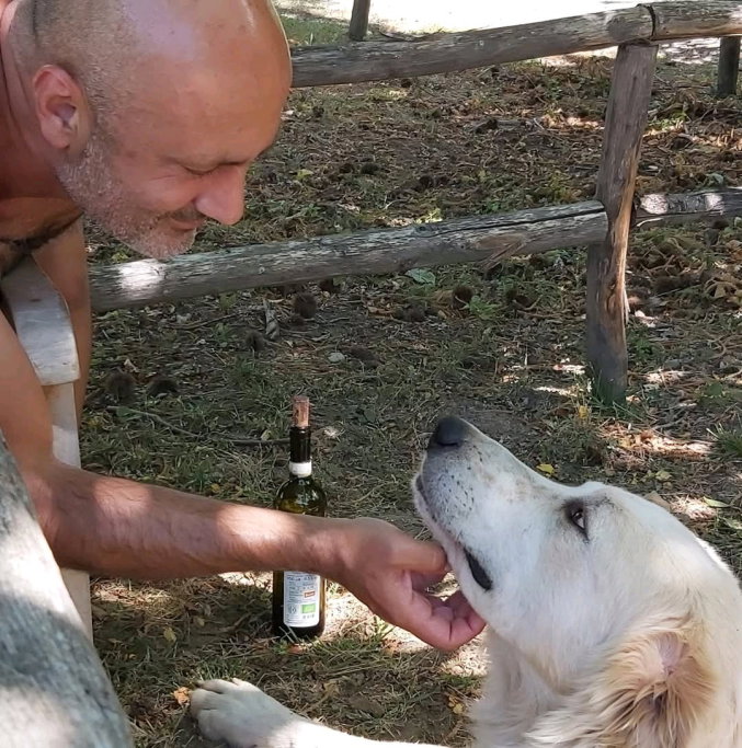 Ulas Dogu, pet sitter in Amsterdam, photo 4