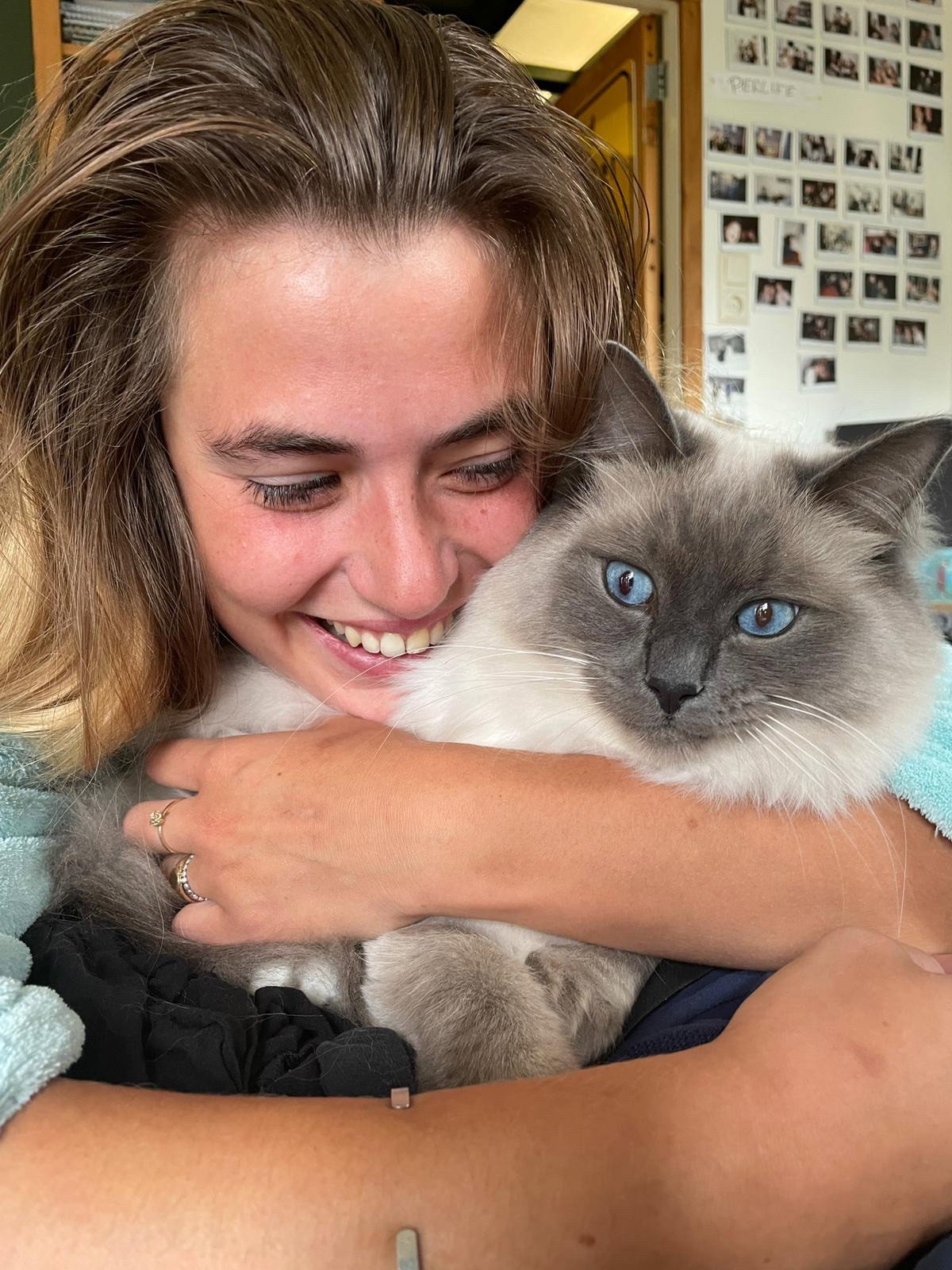 Loulou, pet sitter in Amsterdam, photo 4