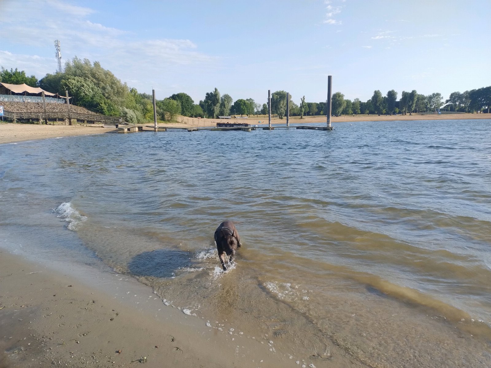 Roberto, pet sitter in Lathum, photo 2