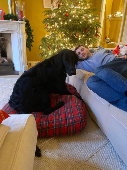 ludo, pet sitter in 's-Gravenhage, photo 3