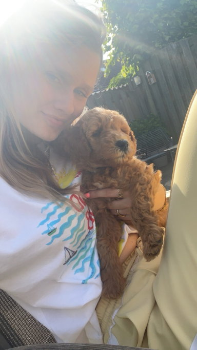 Femke, pet sitter in Hoogerheide, photo 2