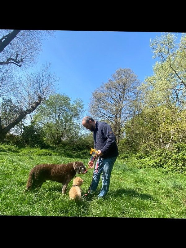 Simon, Tiersitter in Berlin, Foto 1