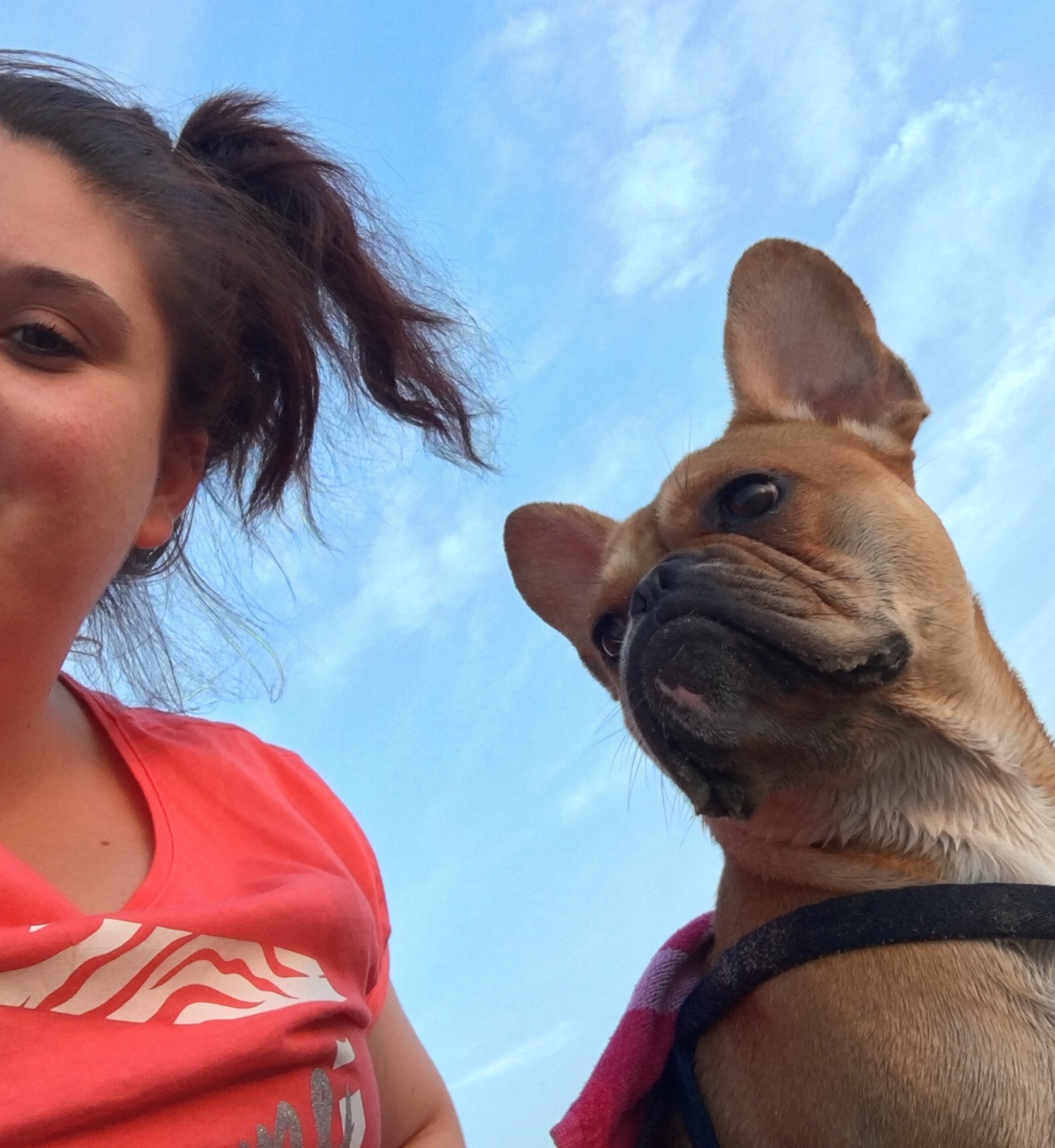 Jacyntha, pet sitter in Bovenkarspel, photo 3