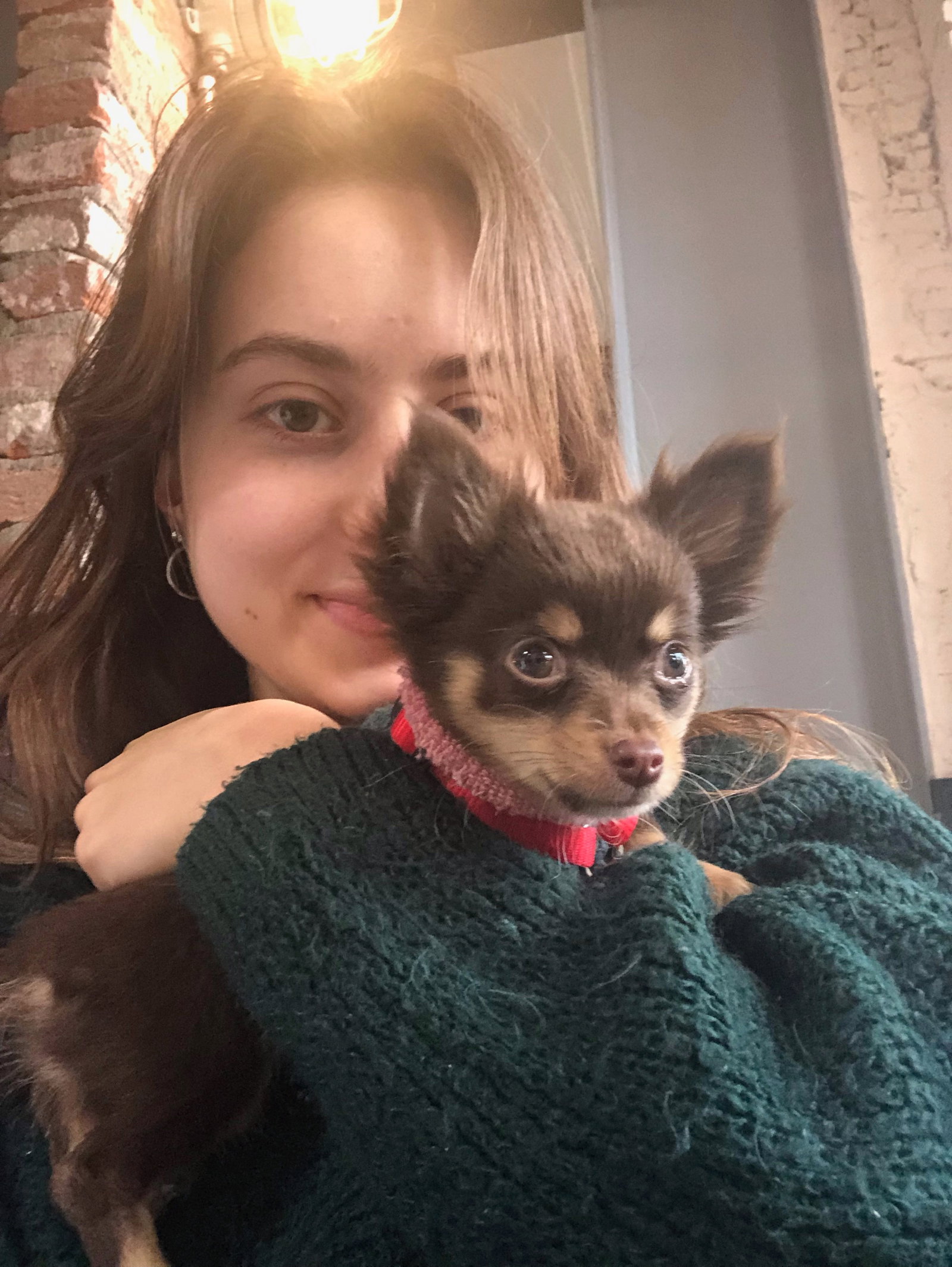 Lale, pet sitter in Leiden, photo 1