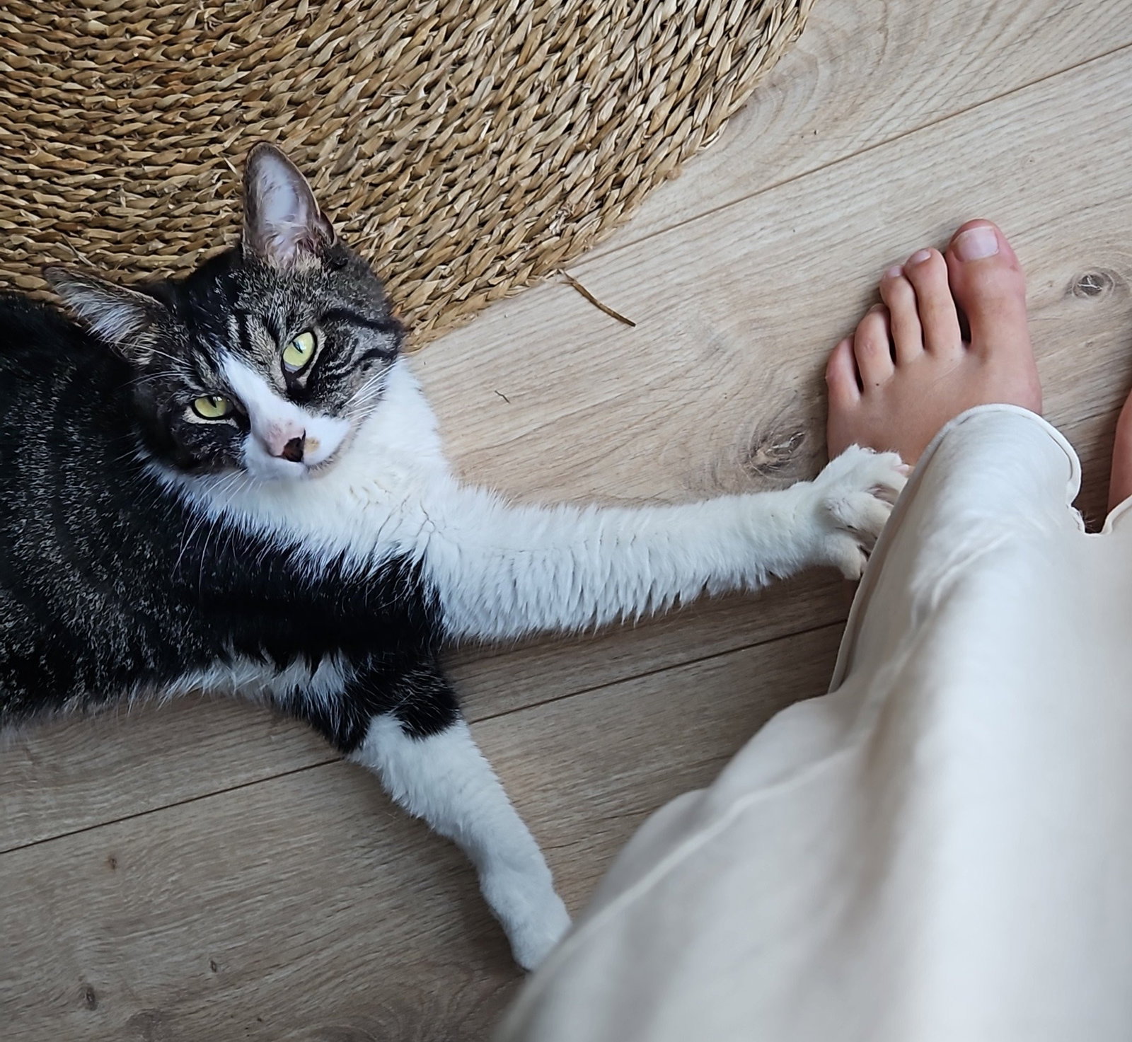 Lynne, pet sitter in Leiden, photo 1