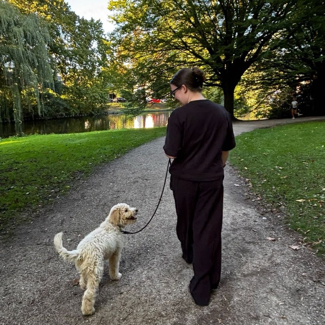 Sophie, pet sitter in assen, photo 5