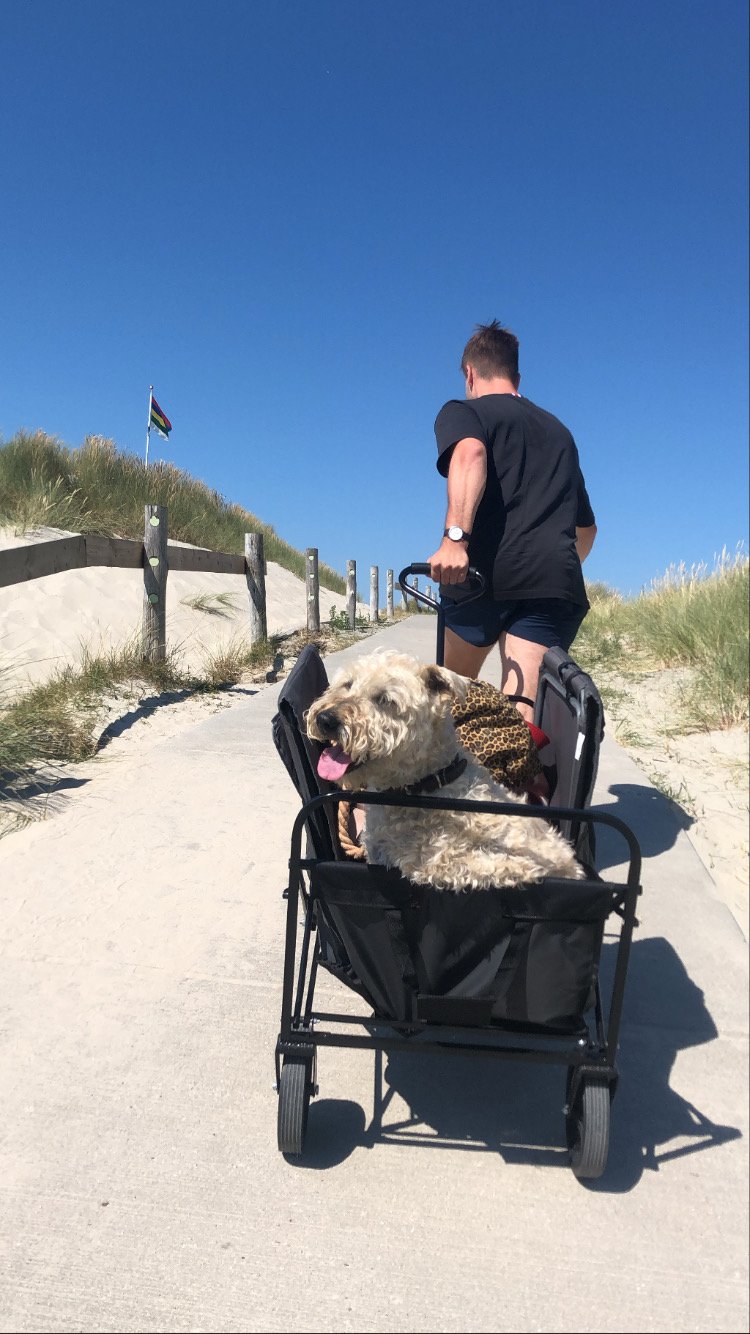 Joosje, pet sitter in Amsterdam, photo 1