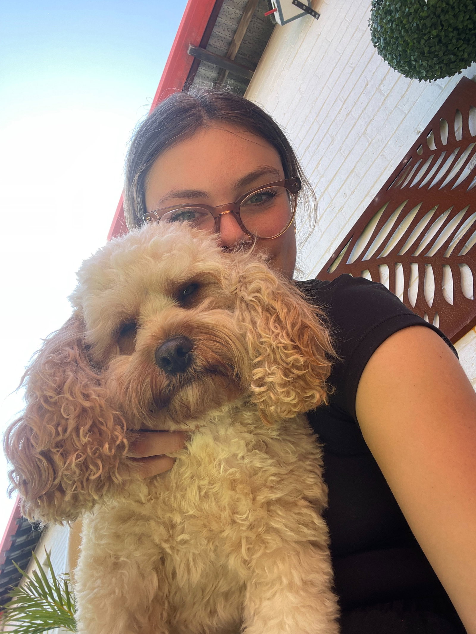 Rosie, pet sitter in Hürth, photo 4