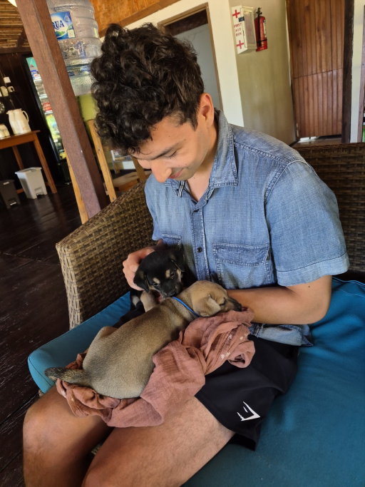 Santino (and Ichelle), pet sitter in Voorburg, photo 3