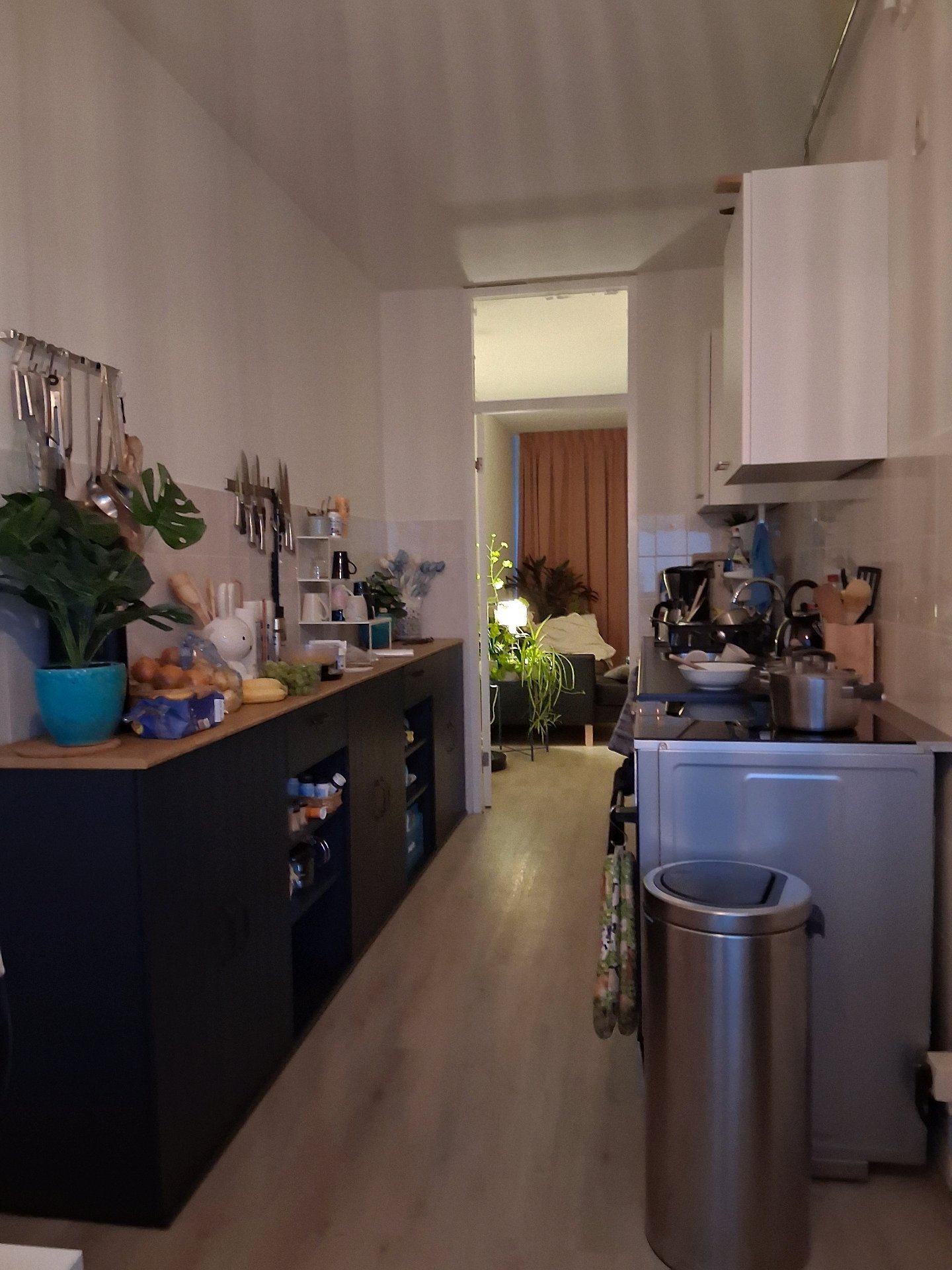 Christa, pet sitter in Weesp, photo 2