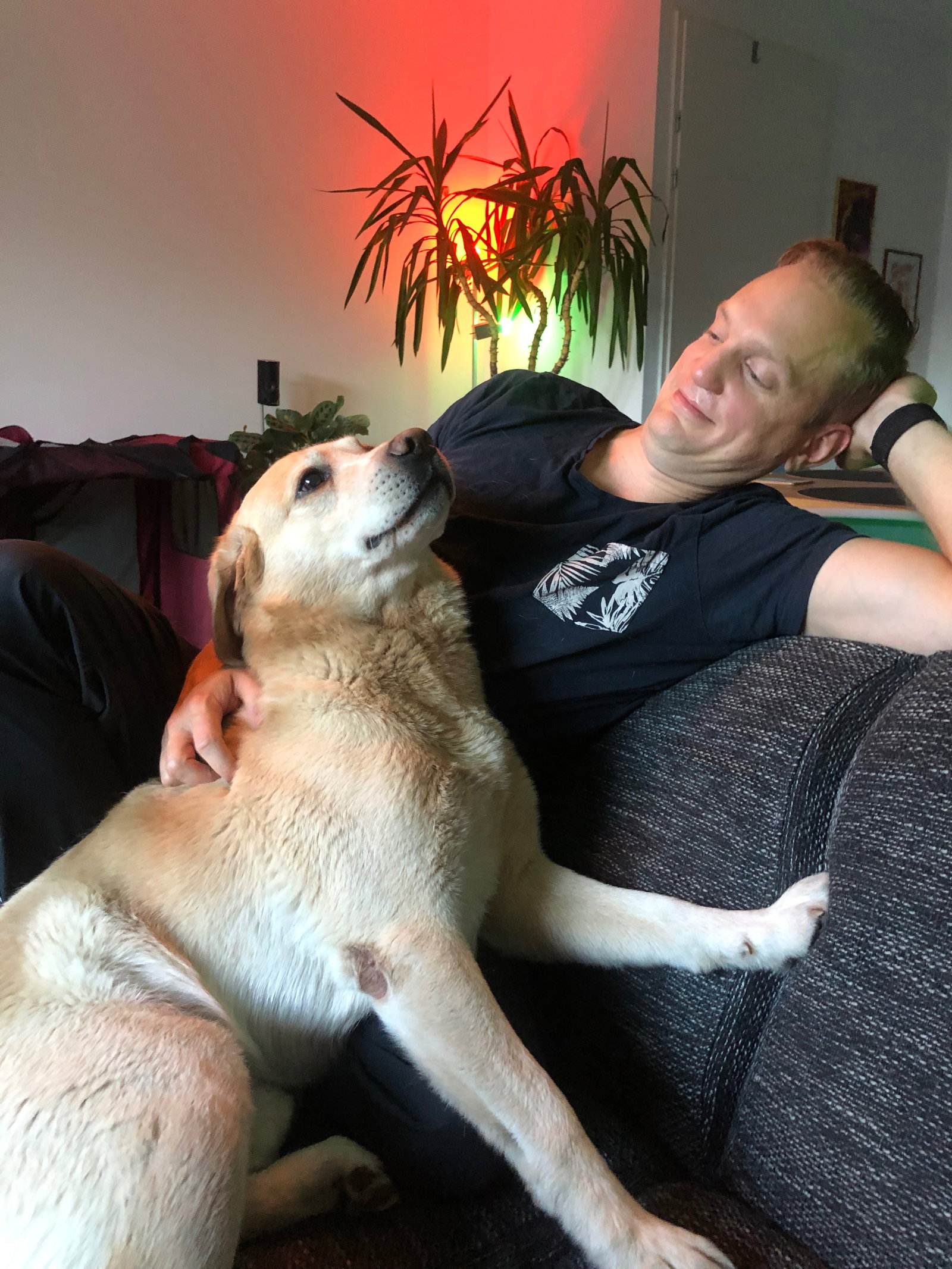 Robbert, pet sitter in Den Bosch, photo 3