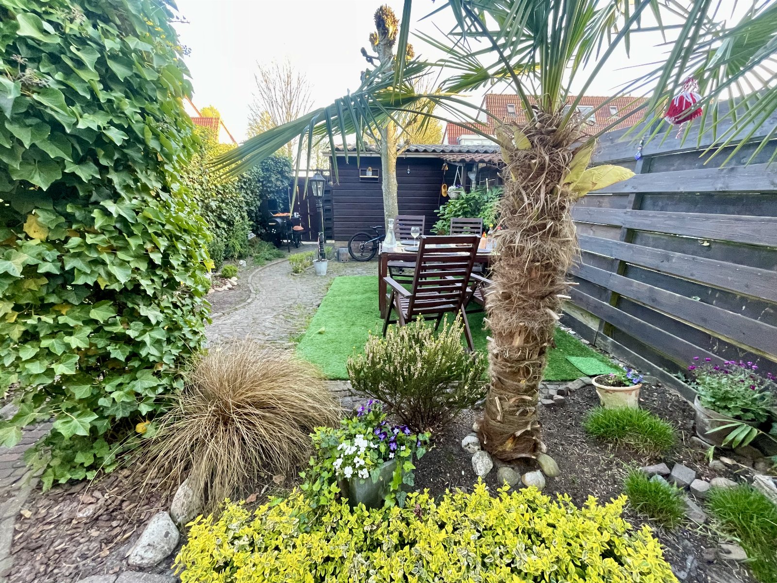 Filiz, dierenoppas in Leusden, foto 5
