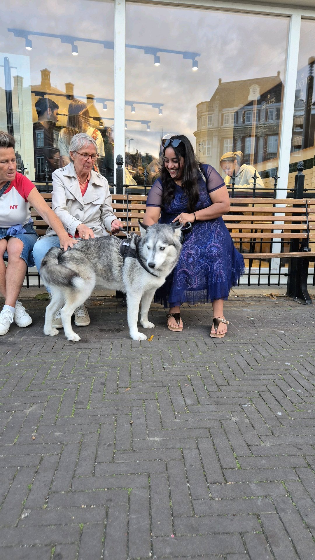 Bala Savitha, pet sitter in Venlo, photo 1