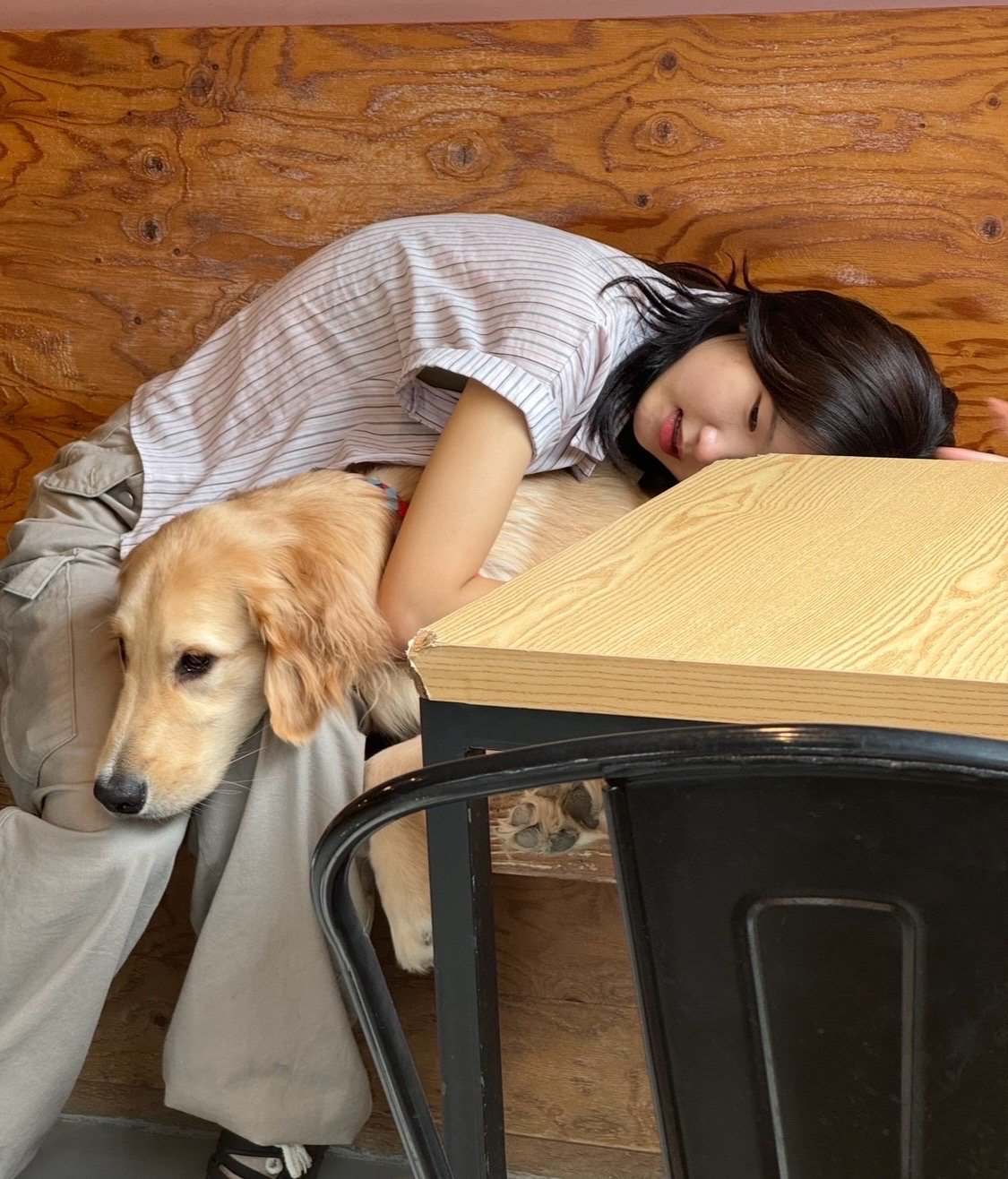 Chaemee, pet sitter in Eindhoven, photo 5