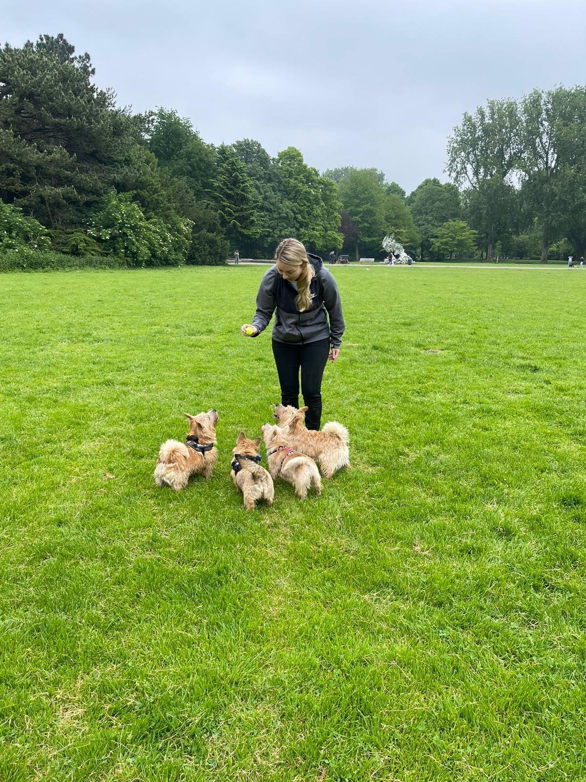 Victória, pet sitter in Amsterdam, photo 1