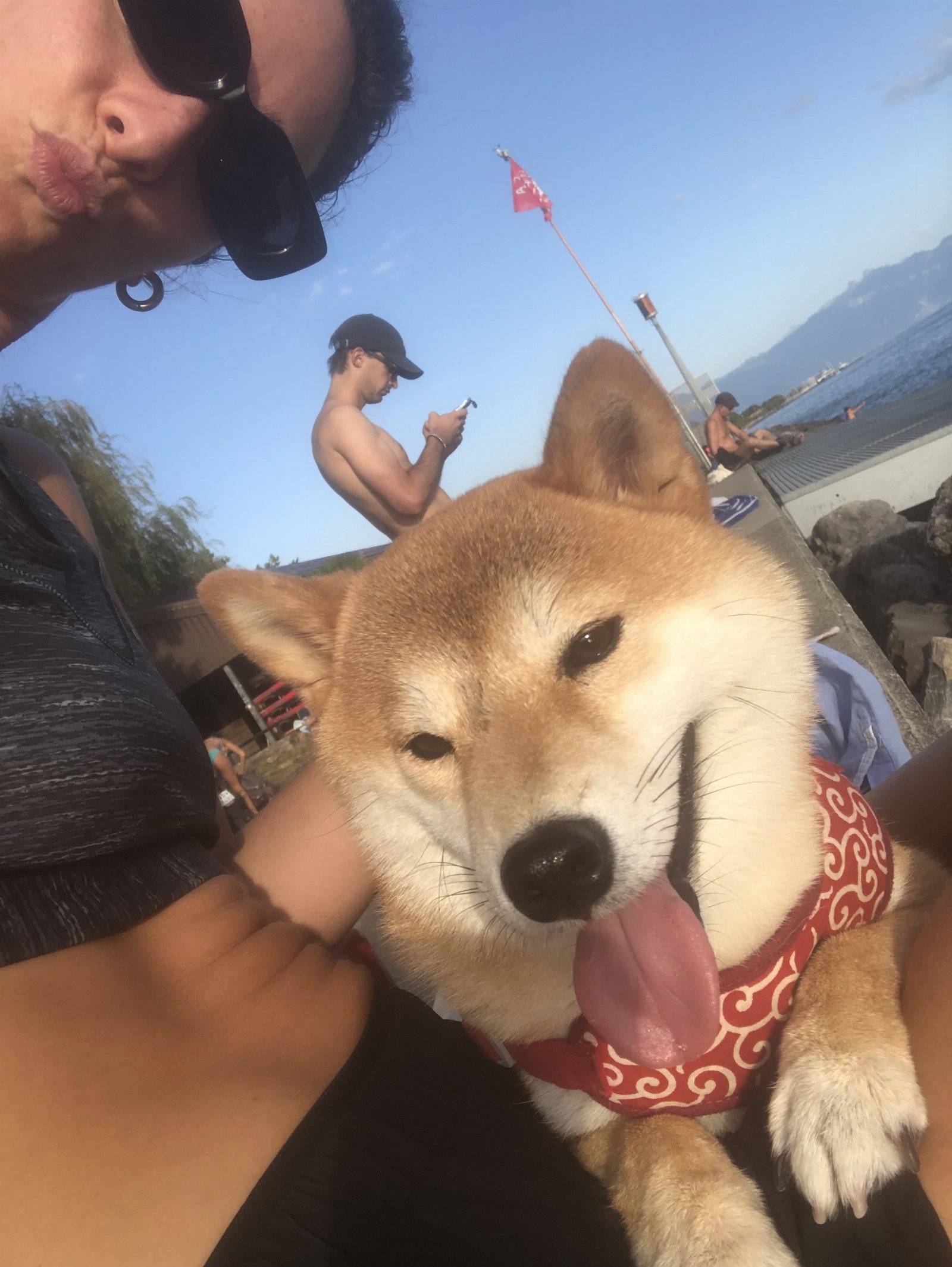 Lisa, pet sitter in Amsterdam, photo 1
