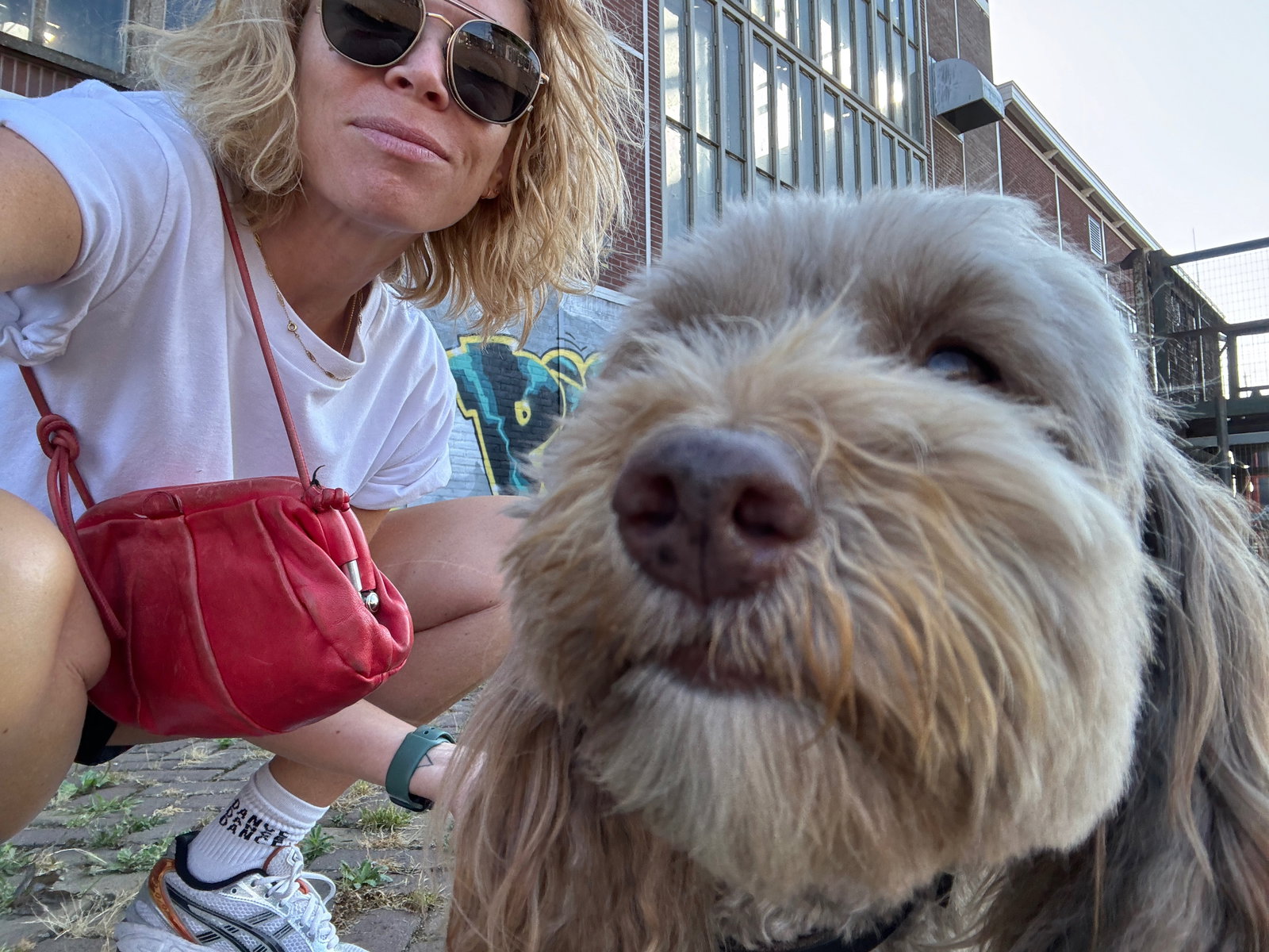 Ilse, pet sitter in Amsterdam, photo 3