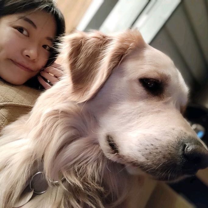 yin, pet sitter in 's-Gravenhage, photo 5