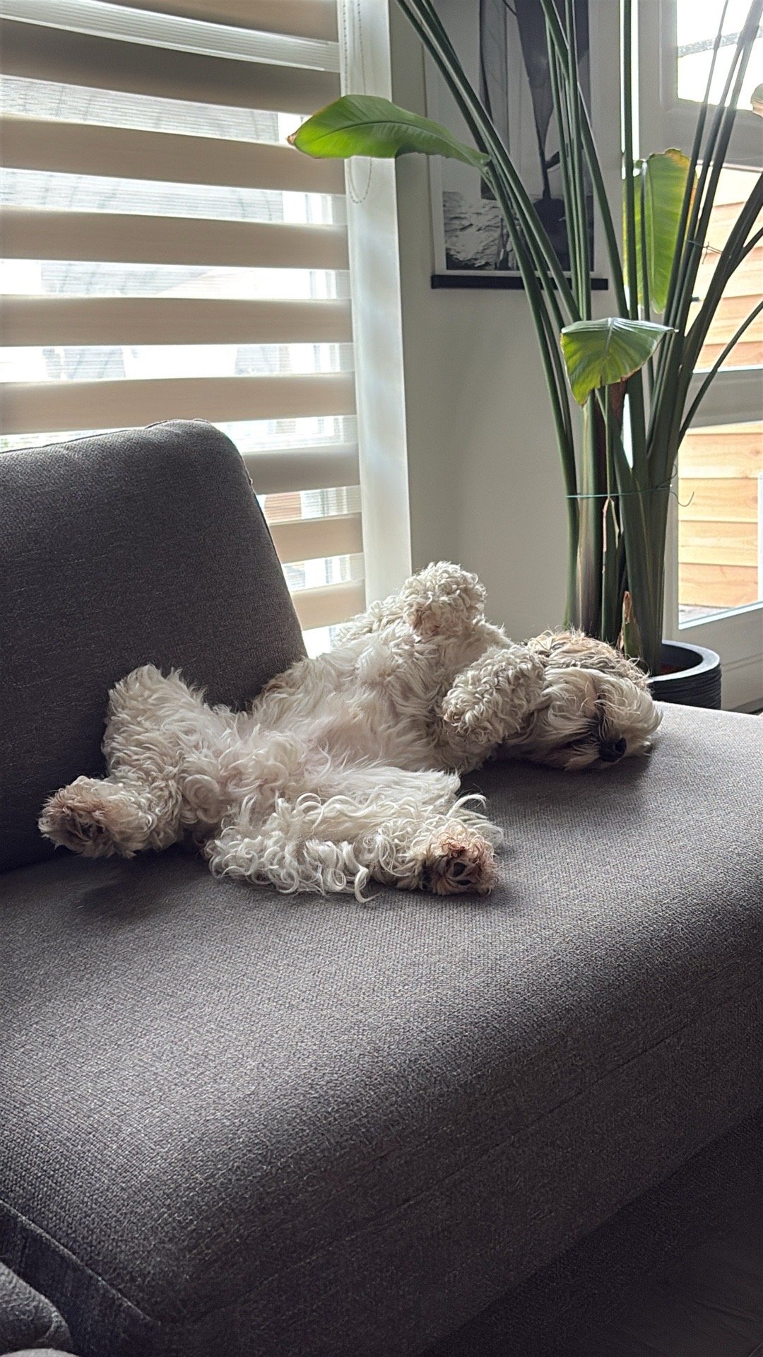 Rik, pet sitter in Houten, photo 5