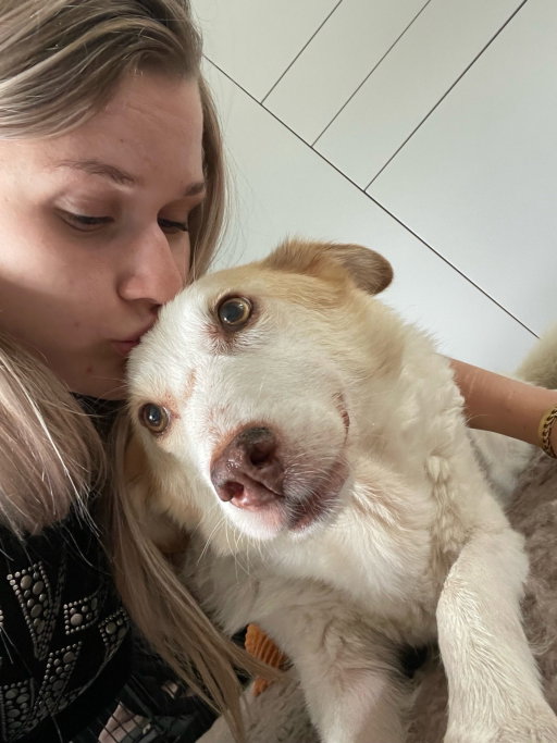 Femke, pet sitter in Hoogerheide, photo 3