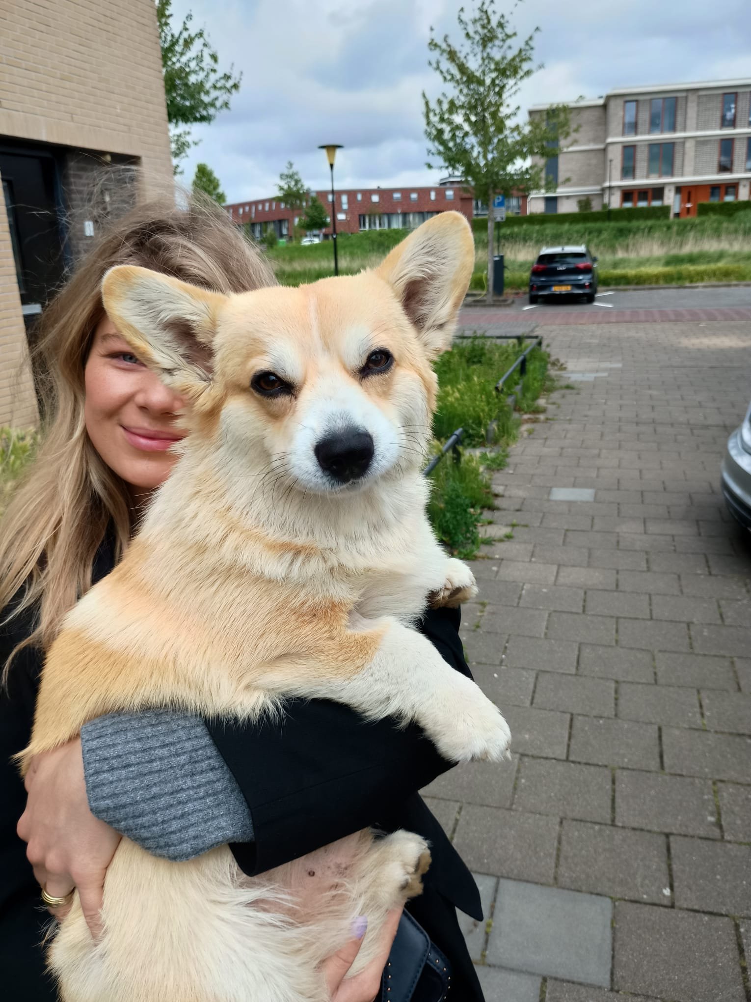 Hannah, dierenoppas in Rotterdam, foto 1