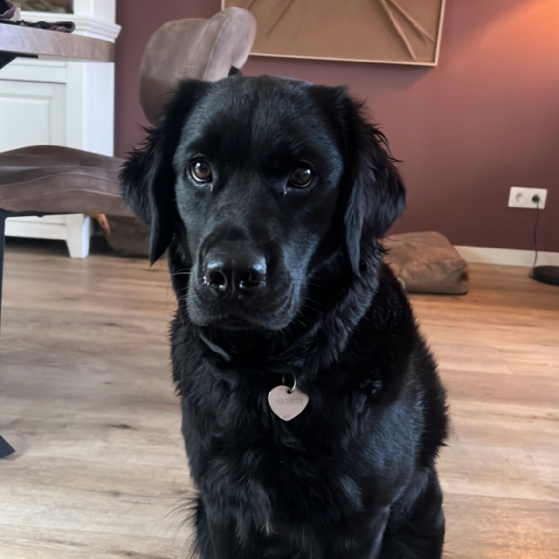 Beau