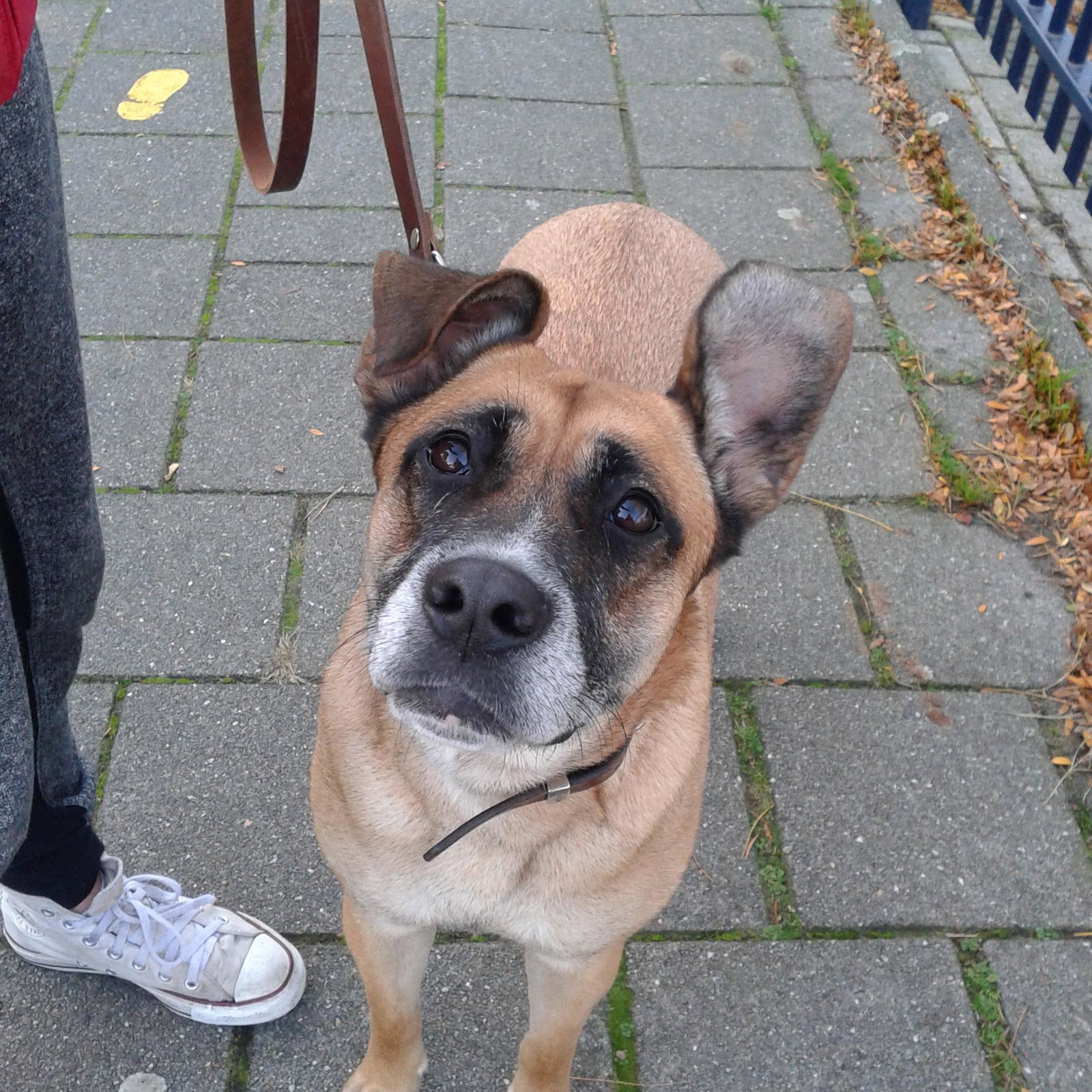 Roxy