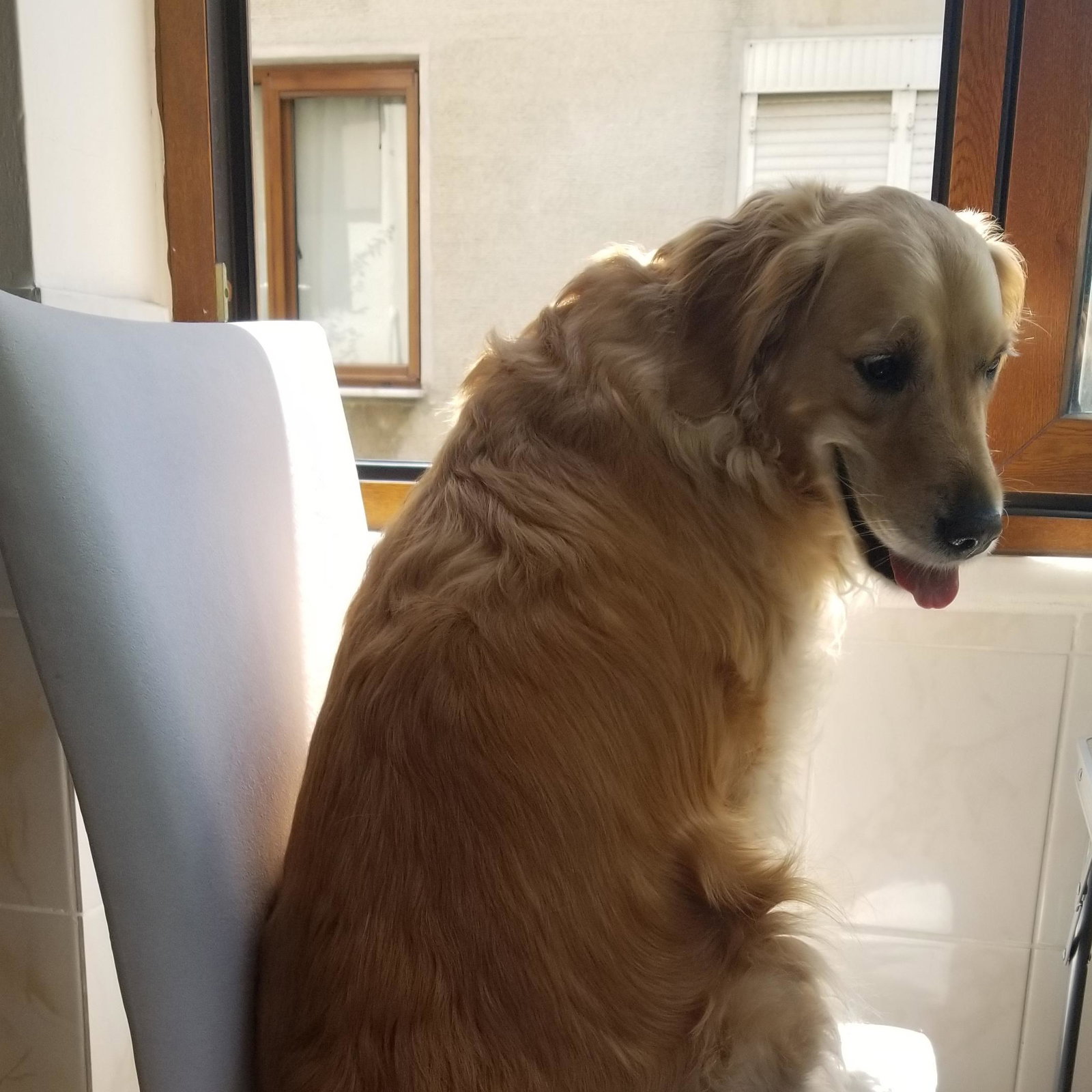 Lila