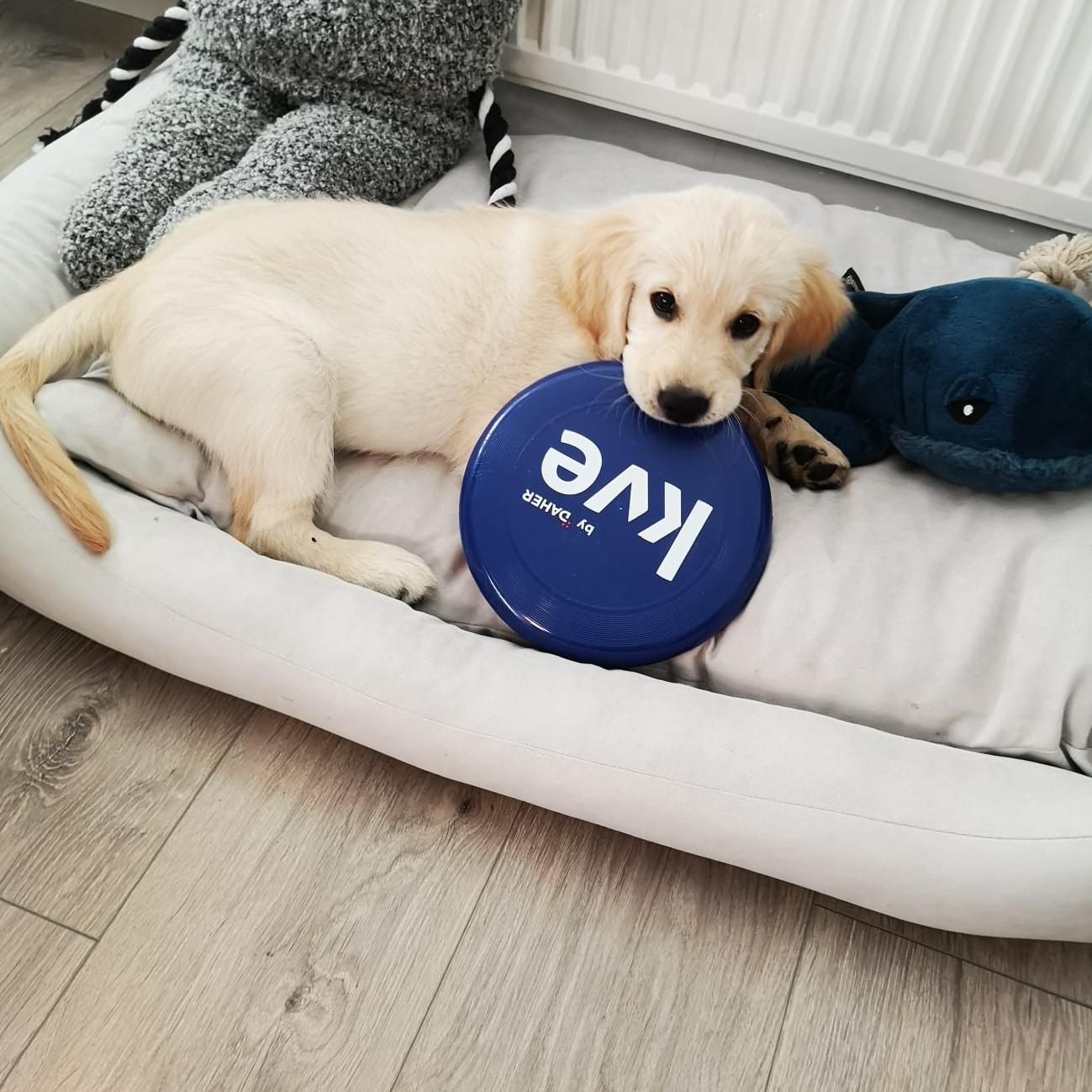 Milo
