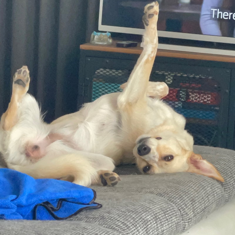 Bailey