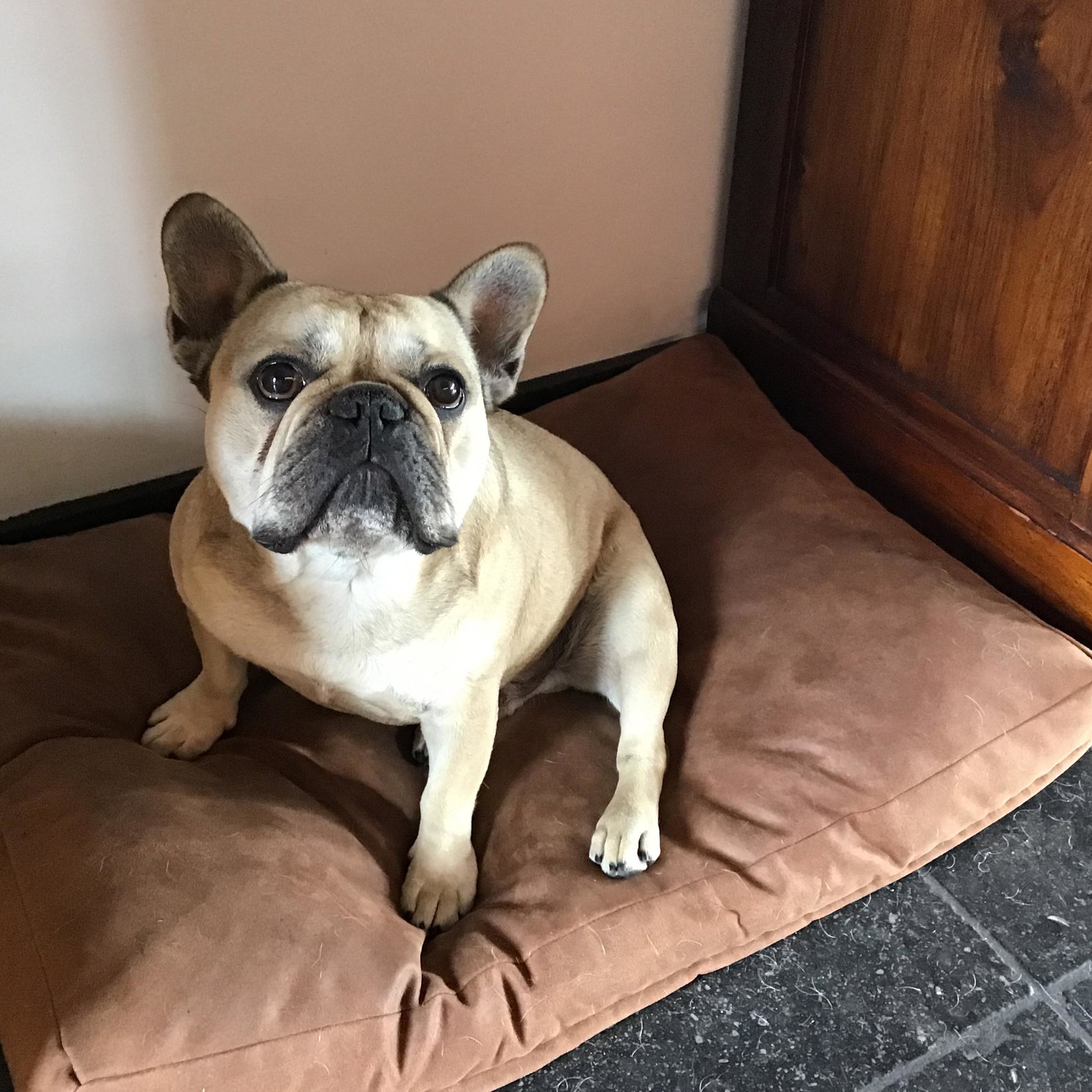 Max