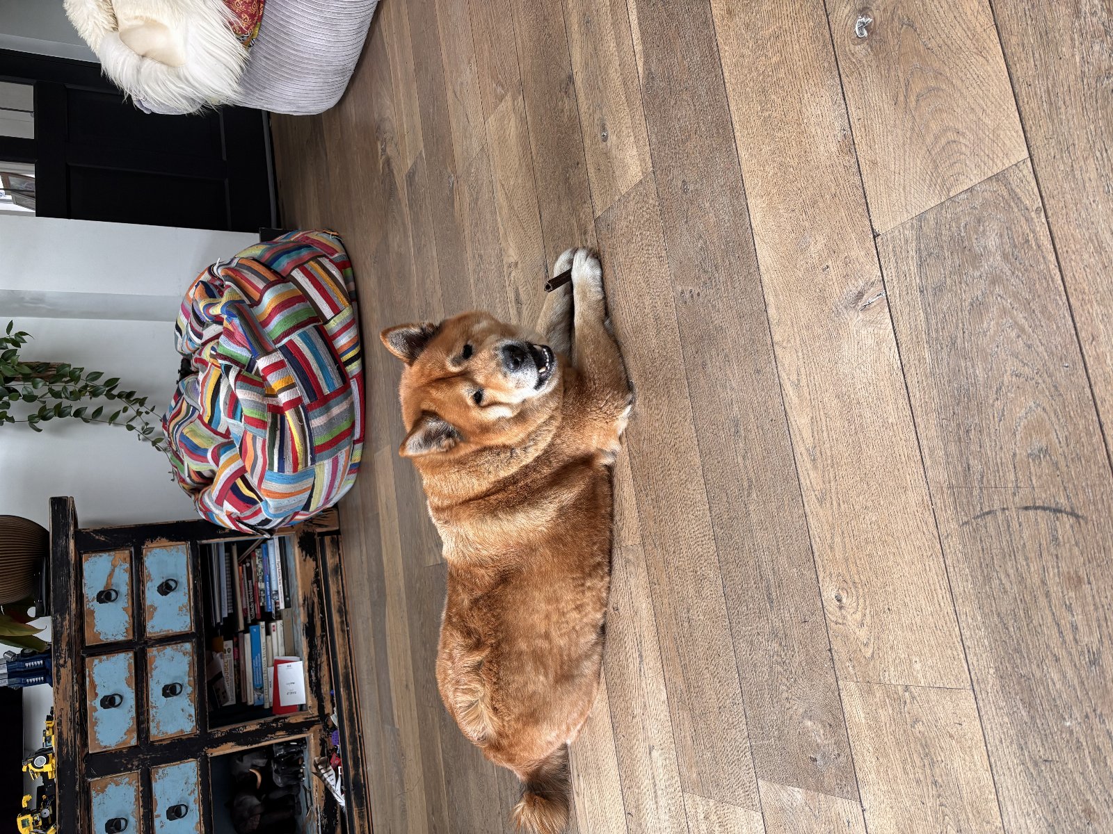 Max