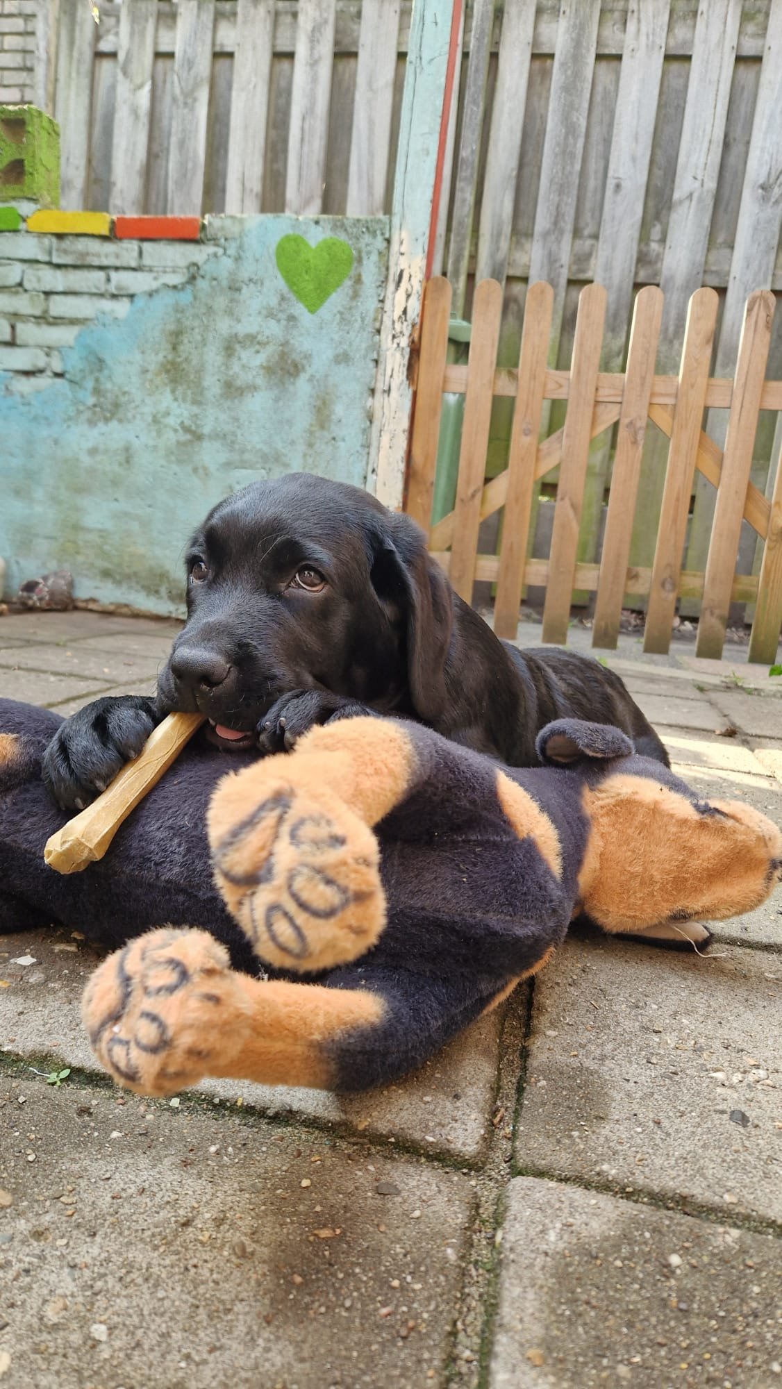 Jax