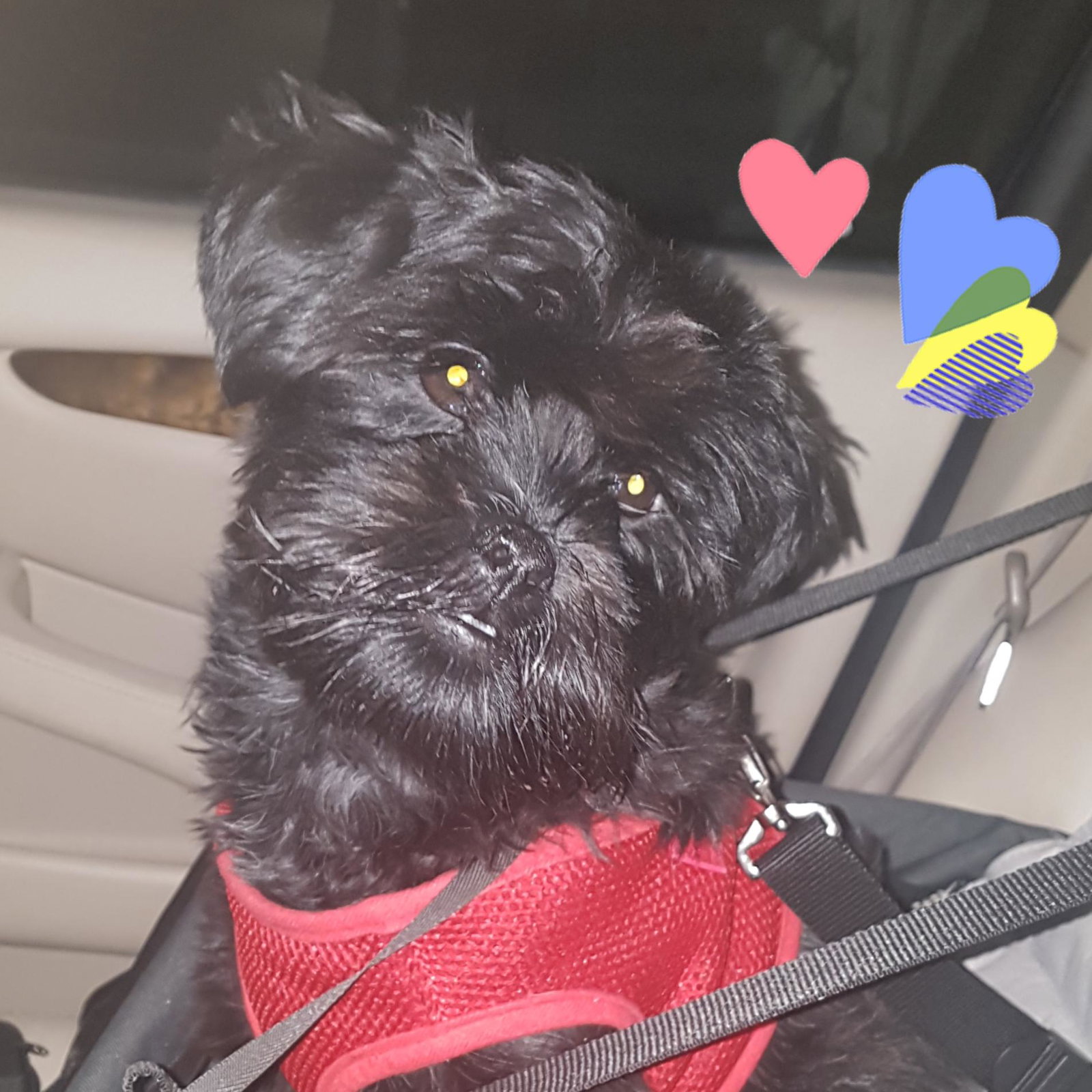 Pepper