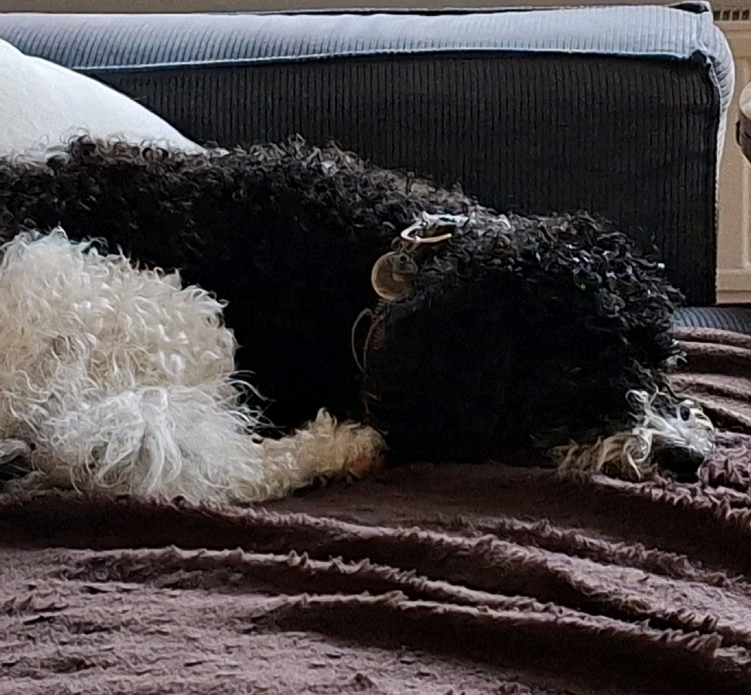 Otis