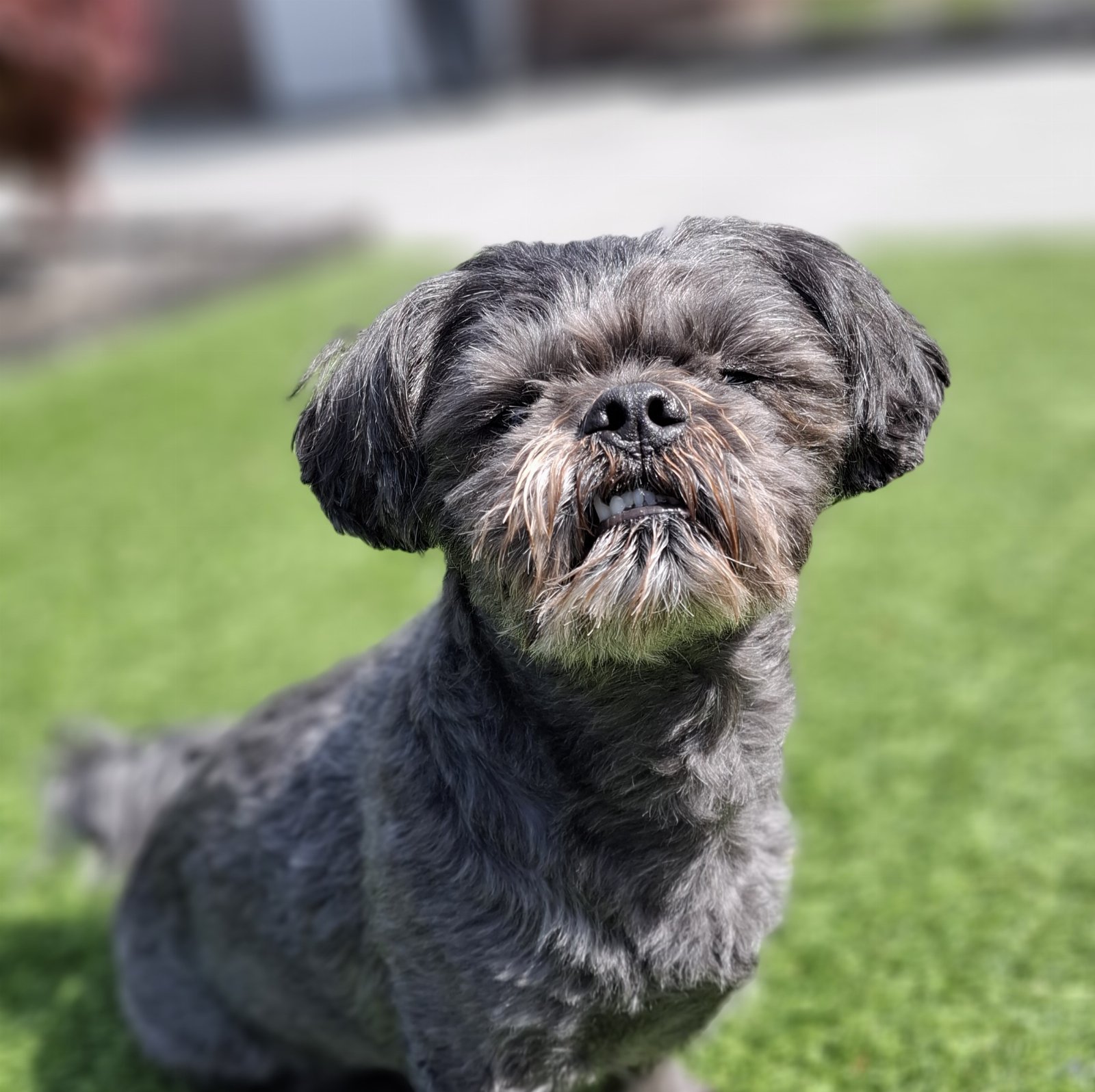 Sammy