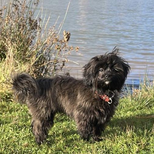 Zoë