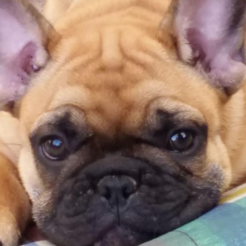Marley