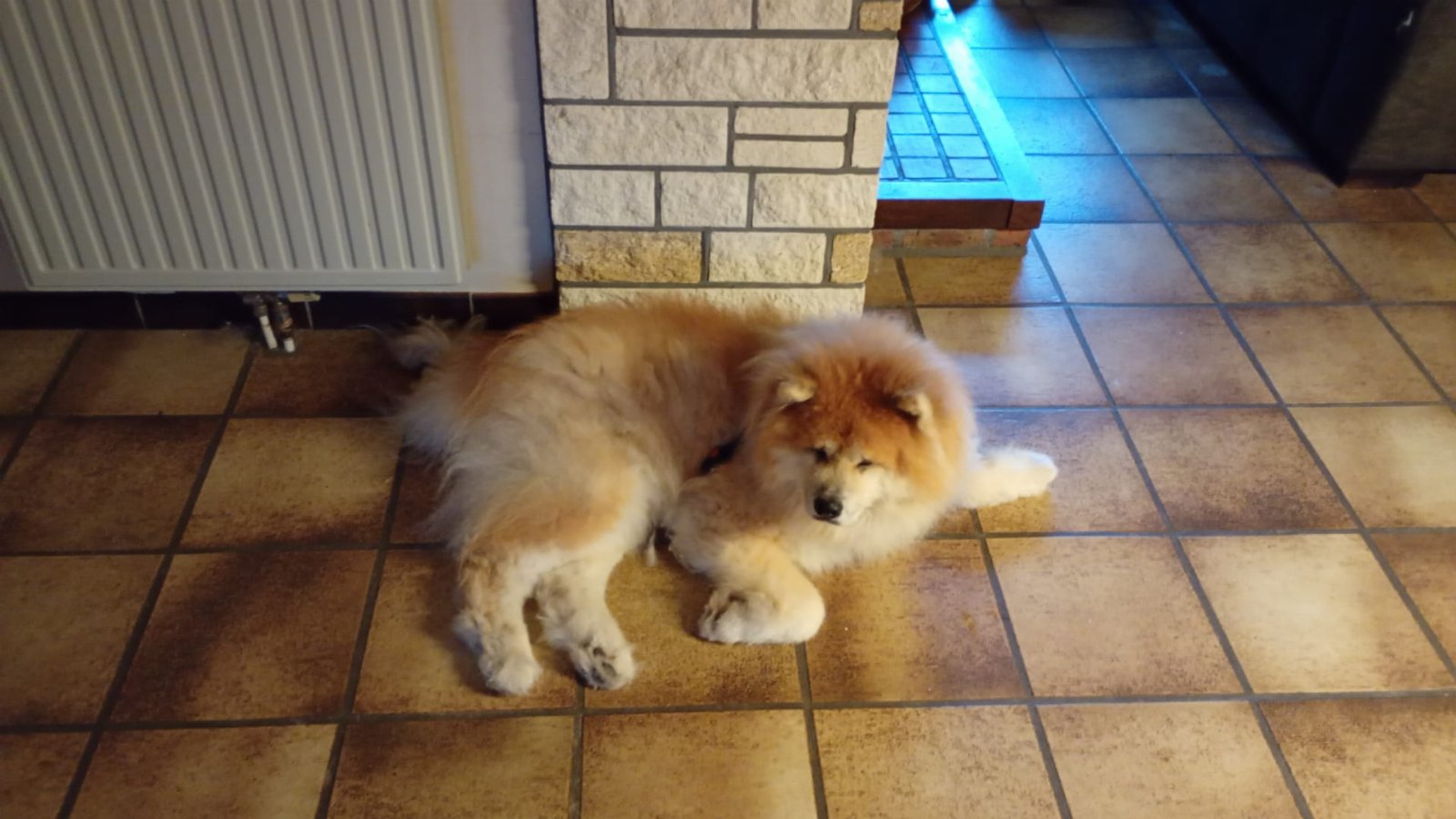 Yuki's image