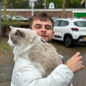 Mike, Hondenoppas in Tilburg Centrum, Tilburg