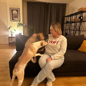Bette, Hondenoppas in Utrecht