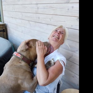 Maud en Wim, Hondenpension in Everdingen